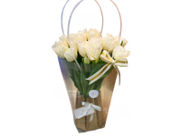 Дейнерис